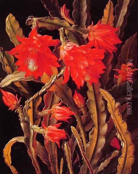 Cactus with Scarlet Blossoms Oil Painting - Christian Juel Mollback