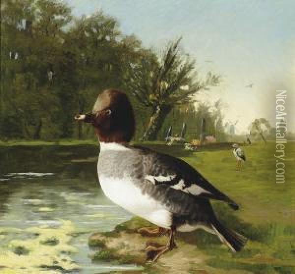 A Wild Duck Oil Painting - Karl Friedrich Schulz