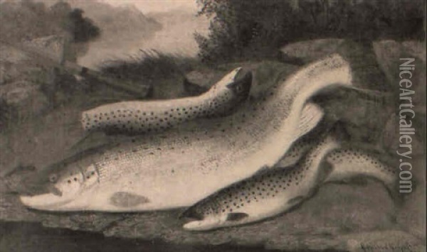 Salmon And Trout Oil Painting - A. Roland Knight
