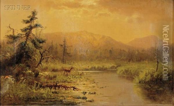 Deer In Landscape Oil Painting - William Richardson Tyler