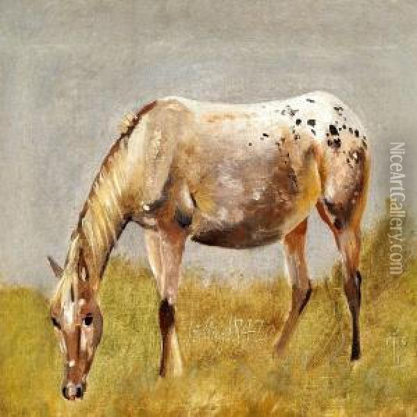 Study Of A Horse Oil Painting - Johan Thomas Lundbye