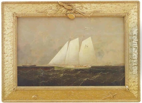 Marine Scene Of The Pilot Boat 