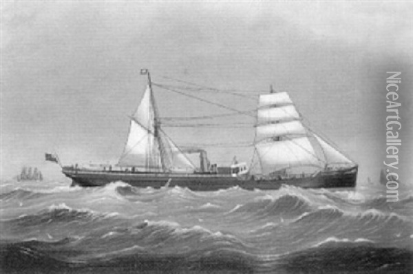 View Of The Steamship 