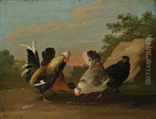 A Pair Of Paintings Depicting A Rooster And Hen Oil Painting - Johann Adalbert Angermayer