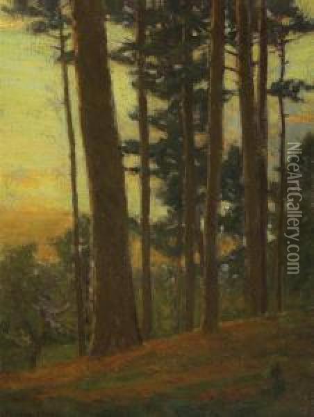 Twilight Pines Oil Painting - Charles Warren Eaton