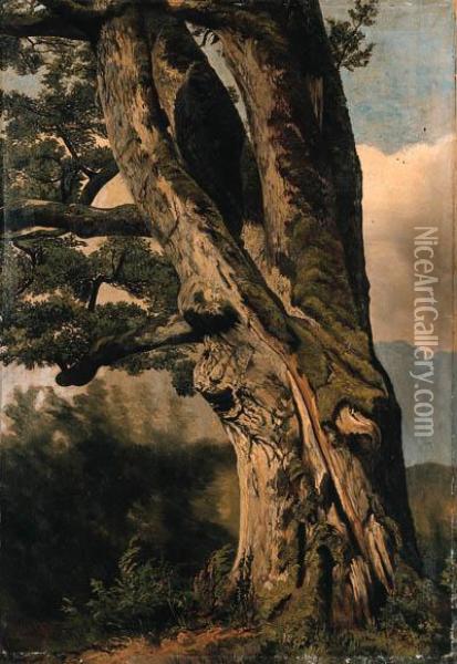 Baum Oil Painting - Alexandre Calame