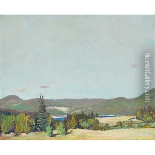 Gatineau River From Albert Matthew's House, Summer Oil Painting - James Edward Hervey MacDonald
