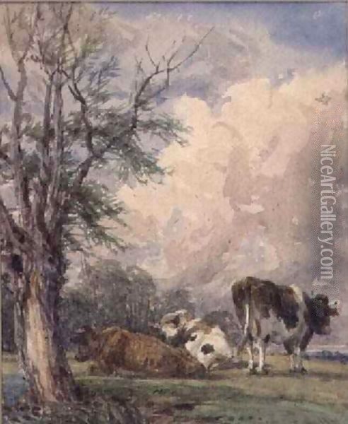 A Study of Cattle 2 Oil Painting - Thomas Baker