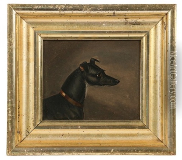 Study Of A Greyhound Dog Oil Painting - Briton Riviere