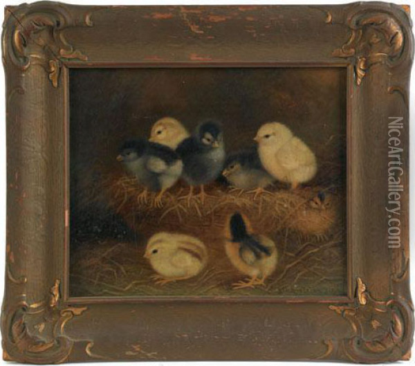 Depicting Eight Chicks In A Nest Oil Painting - Ben Austrian