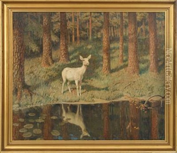 Forest Scenery With A Fawn At A Forest Lake Oil Painting - Gerhard Heilmann