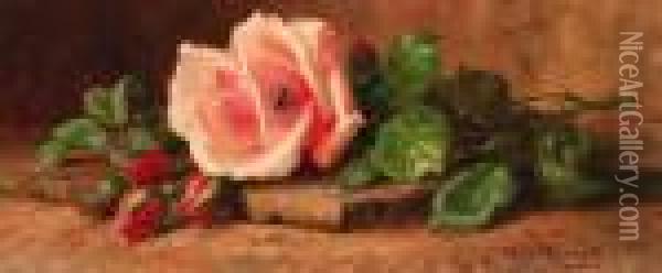 Freshly Cut Roses On A Mossy Tile Oil Painting - Edward Van Rijswijck