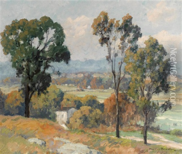 Valley Vista Oil Painting - Maurice Braun