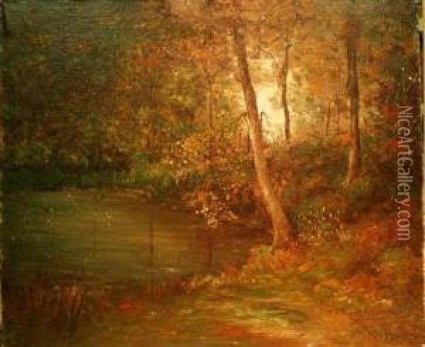 Forest Landscape Oil Painting - Franklin De Haven