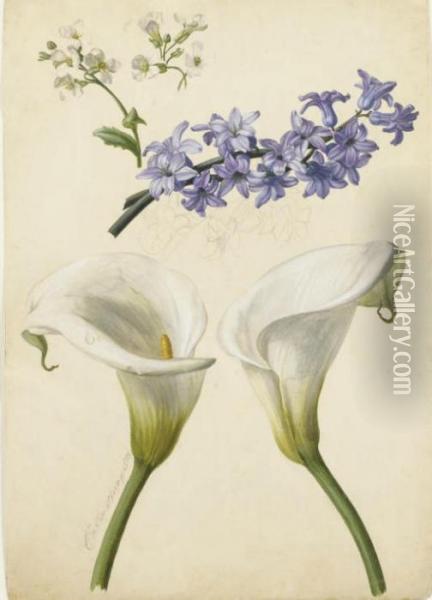 Deux Arums, Des Branches De Pommiers En Fleurs Et Une Jacinthe Bleue Oil Painting - Franz Xaver Petter