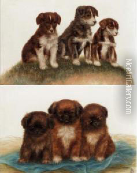 Puppies Oil Painting - Bessie, Betsie Bamber