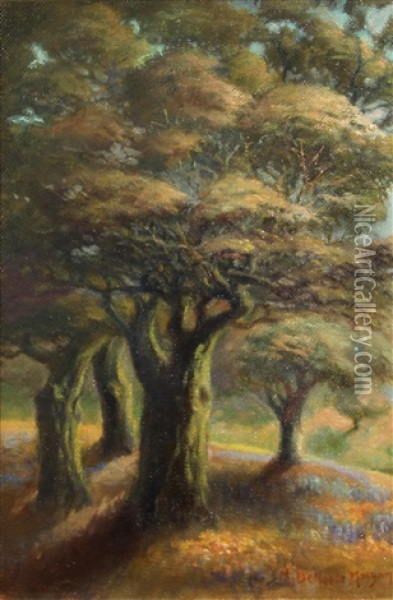 California Trees Oil Painting - Mary Deneale Morgan