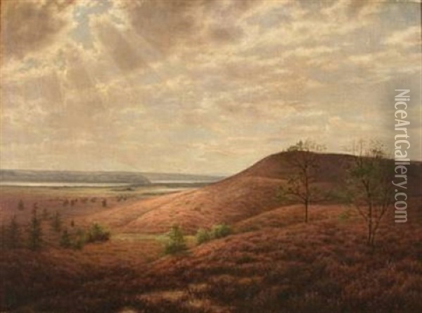 Moor Landscape Oil Painting - Adolf Alfred Larsen
