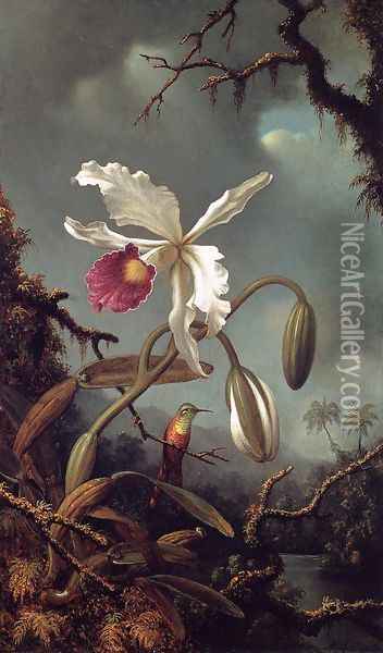 White Brazilian Orchid Oil Painting - Martin Johnson Heade