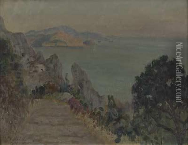 Ansicht Auf Capri Oil Painting - G. Sinibaldi