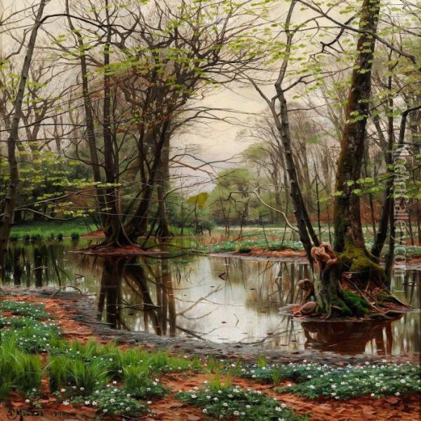 Spring Day In The Forest With Beeches And Anemones In Bloom Near A Stream Oil Painting - Peder Mork Monsted