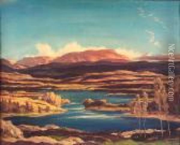 The Woods And Waters, Badenoch Oil Painting - David Young Cameron