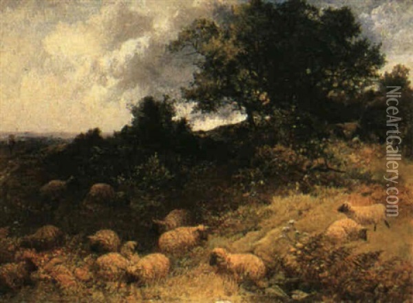 The Flock At Rest Oil Painting - William S. Rose