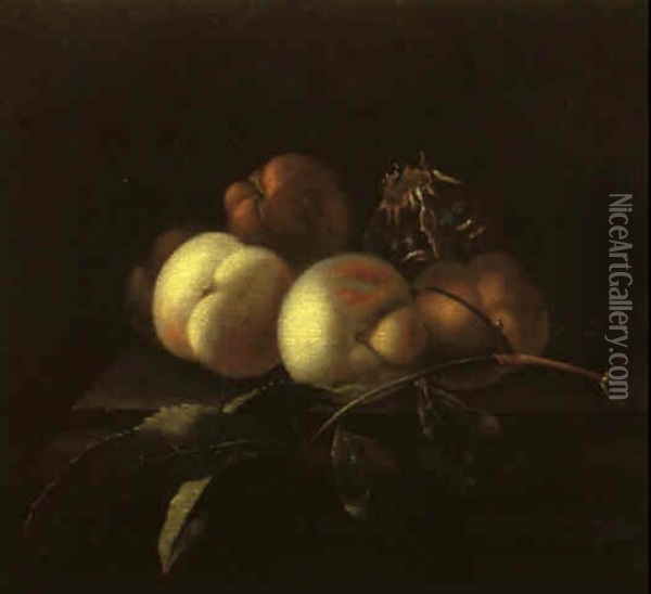 Stilleben Mit Pfirsichen Und Anderen Fruchten Oil Painting - Willem Van Aelst