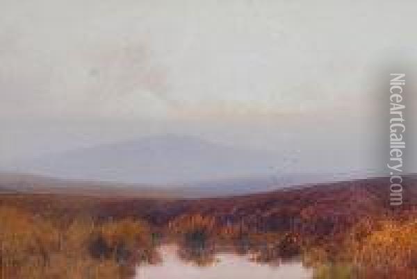 Dartmoor Scene Oil Painting - Frederick John Widgery