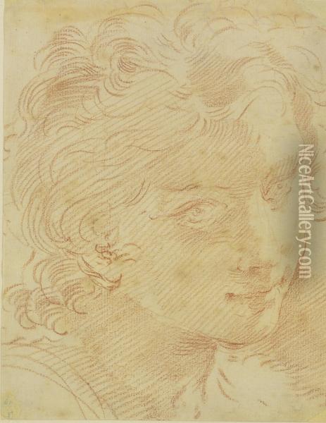 Head Of A Young Man Oil Painting - Gaetano Gandolfi
