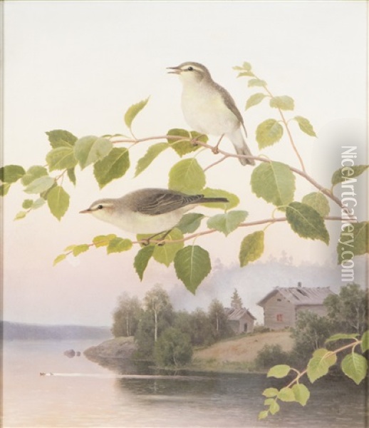 Willow Warbler Oil Painting - Ferdinand von Wright