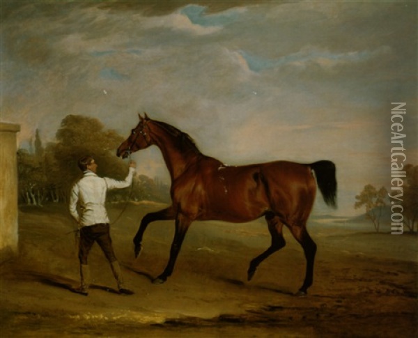 'doyler' Held By A Groom, The Property Of Massey Stanley, Esq. Oil Painting - John E. Ferneley