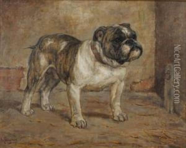 Portrait Of A Bulldog Oil Painting - Kate Sowerby
