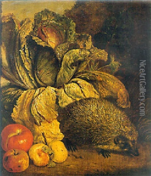 A Hedgehog, A Cabbage And Apples At The Foot Of A Tree Oil Painting - Philip Saurland