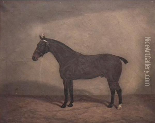 Portrait Of A
Bay Horse In A Stable Oil Painting - William Albert Clark