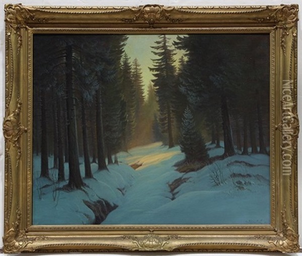 Sunlight On A Snow Covered Forest Oil Painting - Ivan Fedorovich Choultse