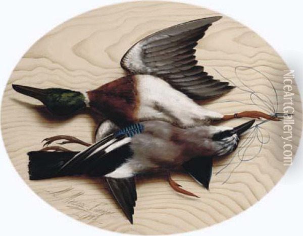 A Mallard And A Jay Oil Painting - Michaelangelo Meucci