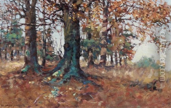 Beech Wood In Autumn Oil Painting - Elizabeth Annie Mcgillivray Knowles