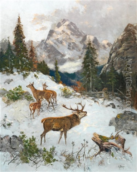 Red Deer In Winter Oil Painting - Georg Berger