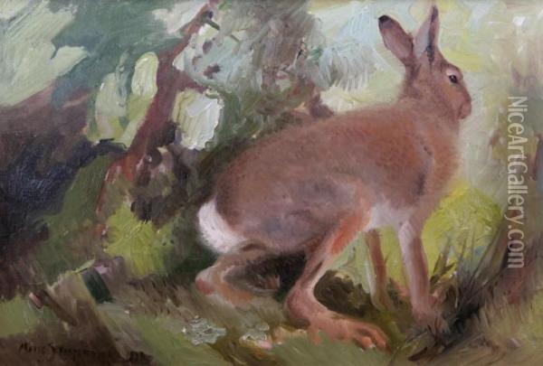Hare Oil Painting - Mosse Stoopendaal