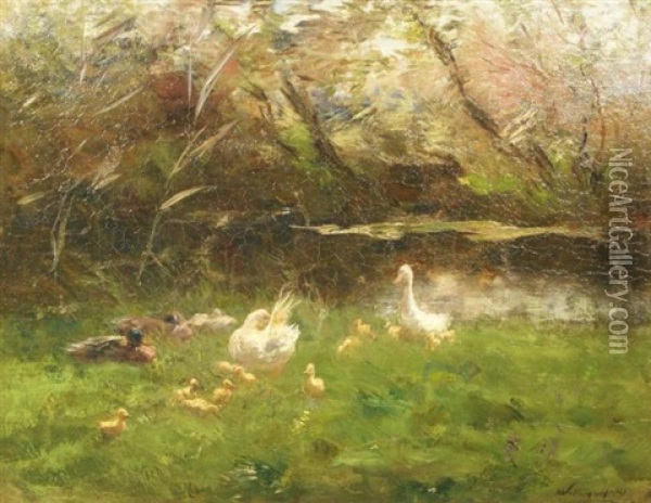 Ducks By The Waterside Oil Painting - Willem Maris