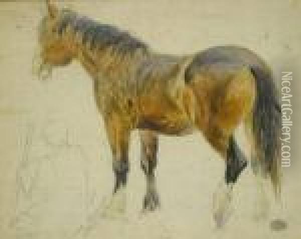Study Of A Horse Oil Painting - John Frederick Lewis