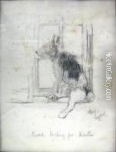 'punch Looking For Master', Pencil And Body Colour, Signed, 22cm X 17.5cm, Framed Oil Painting - Cecil Charles Aldin
