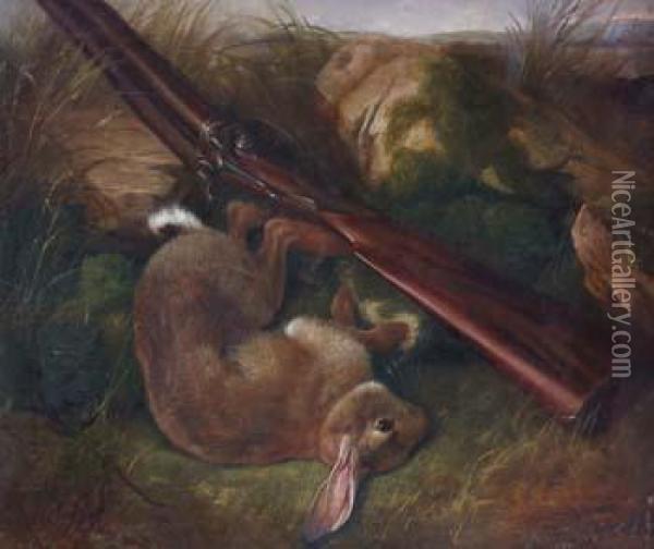 Still Life Game
Study Of A Shotgun And Rabbit Oil Painting - Colin Graeme Roe