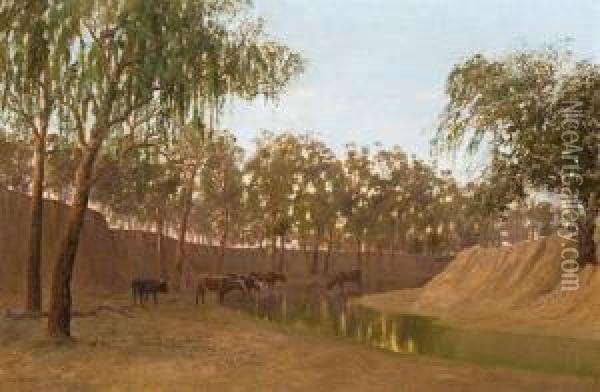 Cattle Drinking By A River Oil Painting - William Charles Piguenit