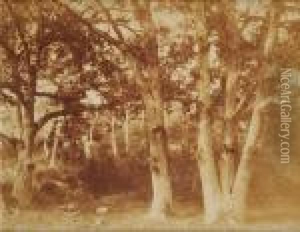 Etude D'arbres En Foret De Fontainebleau Oil Painting - Charles Marville