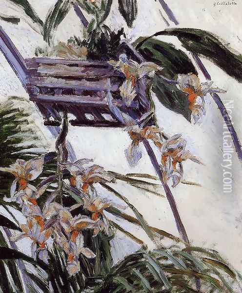 Orchids Oil Painting - Gustave Caillebotte