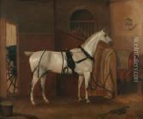Portrait Of A Grey Hackney In A Stable, Possibly Commissioned For John Eaton,
(horse Blankets Initialled J. E.) Oil Painting - Thomas Weaver