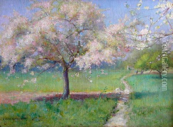 Apple Trees In Full Pink Blossom In A Verdant Field Oil Painting - John Wilton Cunningham