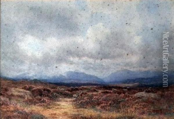Scottish Moorland Scene With Sheep Oil Painting - George, Captain Drummond-Fish